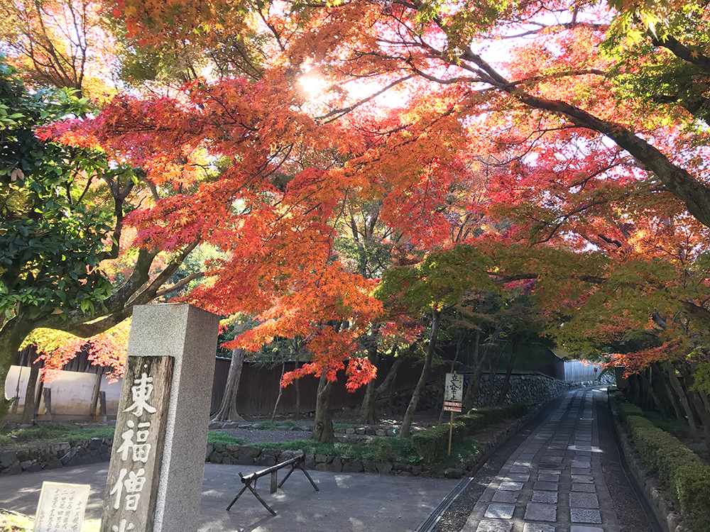 東福寺　通天橋　紅葉