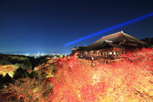 京都　清水寺　紅葉　ライトアップ