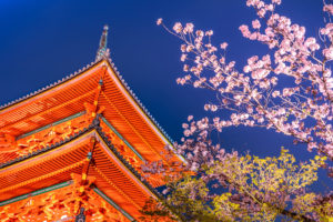 京都　清水寺　紅葉　ライトアップ