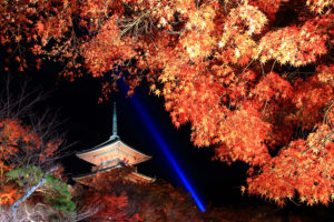 京都　清水寺　紅葉　ライトアップ