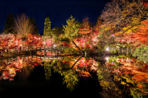 京都　永観堂のライトアップ