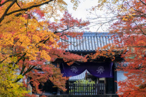 京都　曼殊院