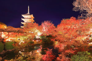 京都　東寺　ライトアップ
