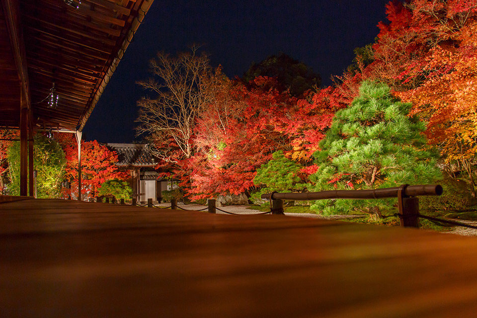美しい紅葉を満喫したら 京都を感じるディナーで秋を満喫 紅葉の名所近くのレストランをご紹介 Caedekyoto カエデ京都 紅葉と伝統美を引き継ぐバッグ