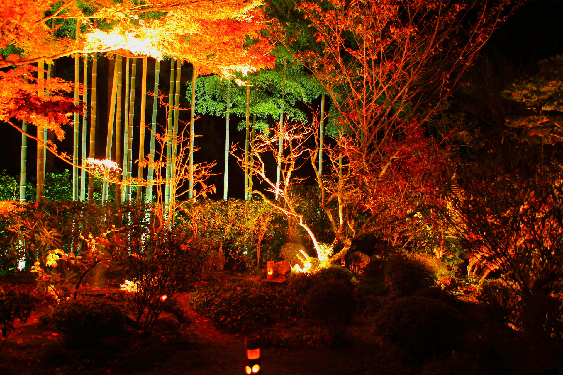 鮮やかな紅葉と深緑の苔のコントラストが美しい 大原三千院 紅葉の見頃や見どころをご紹介 Caedekyoto カエデ京都 紅葉 と伝統美を引き継ぐバッグ