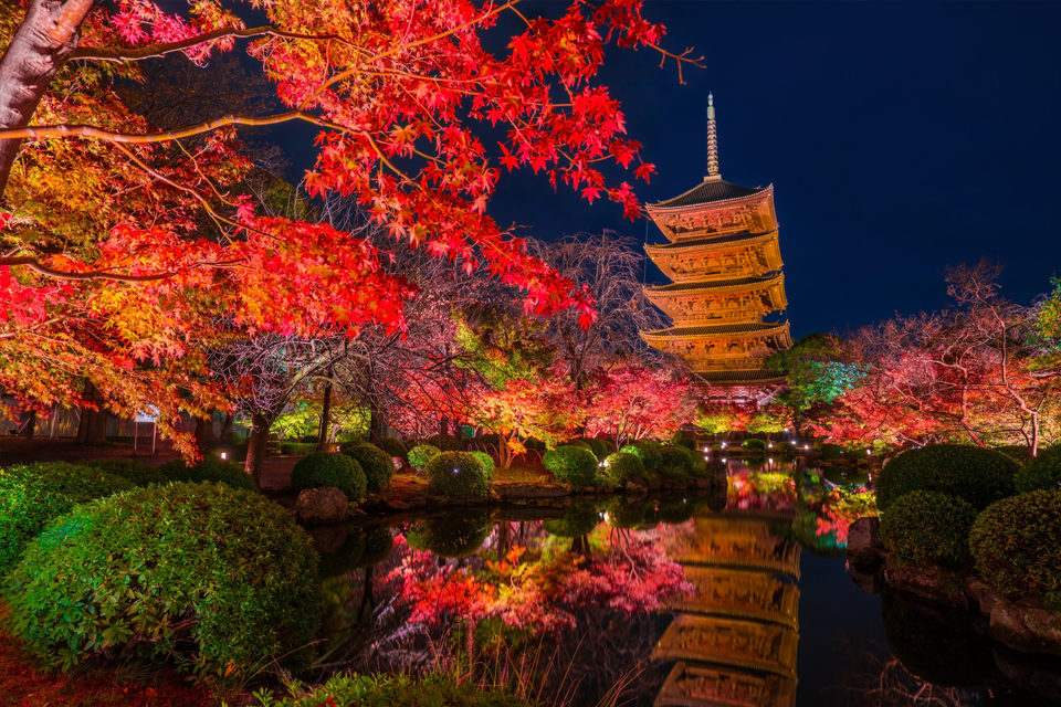 京都の紅葉を見るなら東寺へ 東寺の紅葉の見頃や混雑状況などご紹介します Caedekyoto カエデ京都 紅葉と伝統美を引き継ぐバッグ