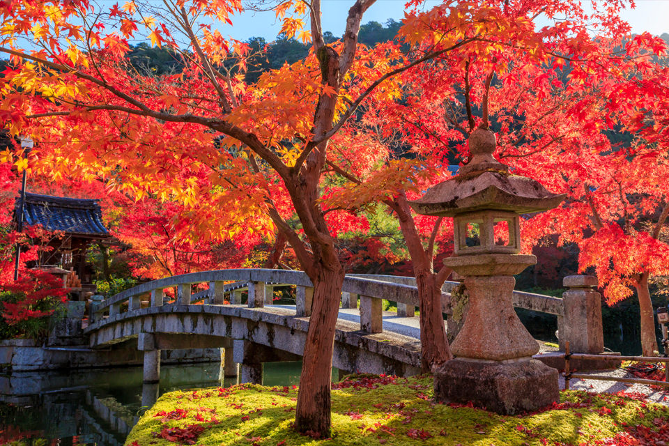 日本人の目から見ても美しい京都の紅葉 海外の方の目にはどう映っているのでしょうか その反応は Caedekyoto カエデ京都 紅葉 と伝統美を引き継ぐバッグ
