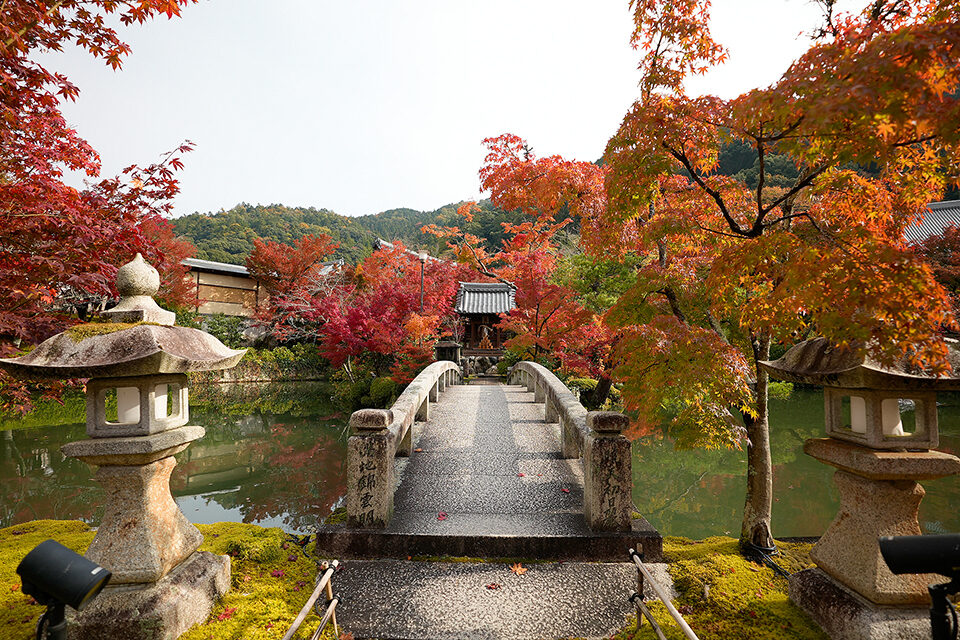 21年の秋は永観堂 禅林寺 の紅葉を見に行きませんか 禅林寺の魅力をお伝えします Caedekyoto カエデ京都 紅葉と伝統美を引き継ぐバッグ