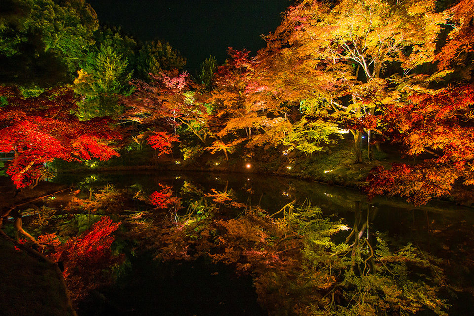 不要錯過的亮燈夜遊活動 關於京都高台寺的紅葉情報 Caedekyoto カエデ京都 紅葉と伝統美を引き継ぐバッグ