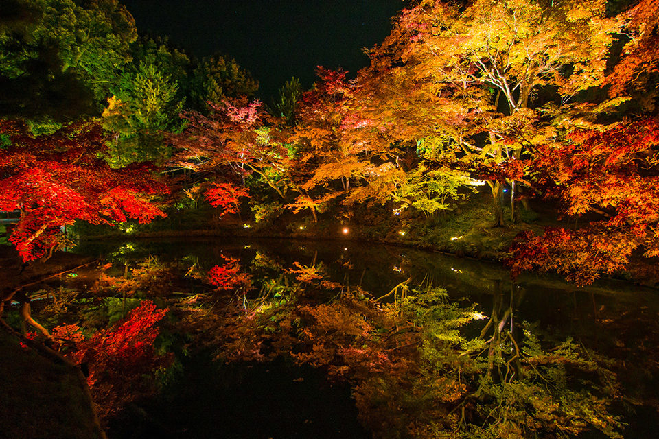 京都の中でも欠かせない名所である清水寺の紅葉情報 Caedekyoto カエデ京都 紅葉と伝統美を引き継ぐバッグ