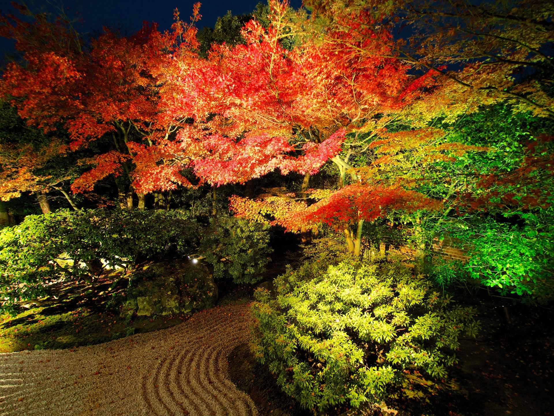 不要錯過的亮燈夜遊活動 關於京都高台寺的紅葉情報 Caedekyoto