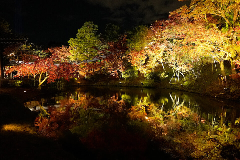 京都の紅葉 ライトアップ情報 21年に訪れるべきなのはここ Caedekyoto カエデ京都 紅葉と伝統美を引き継ぐバッグ