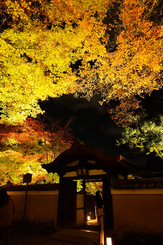 京都の紅葉 ライトアップ情報 21年に訪れるべきなのはここ Caedekyoto カエデ京都 紅葉と伝統美を引き継ぐバッグ