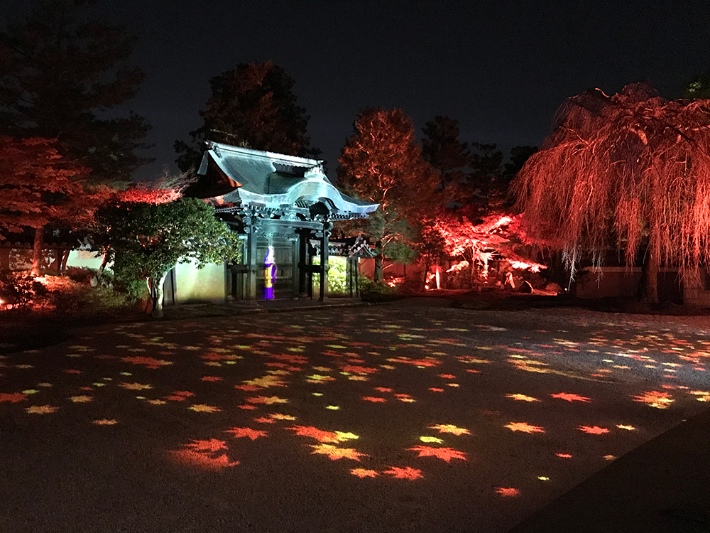 方丈庭園ライトアップ兼プロジェクションマッピン