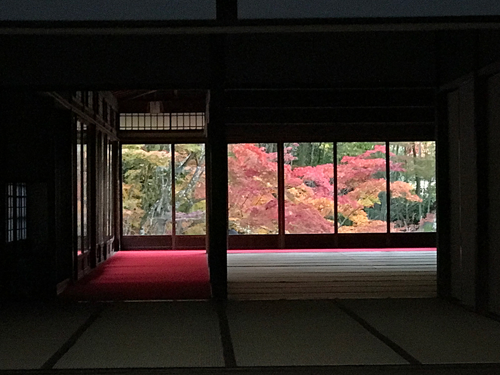 南禅寺　天寿庵の紅葉