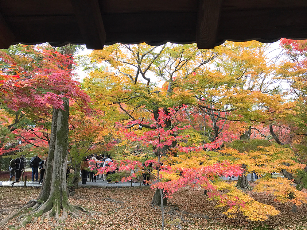 東福寺　通天橋
