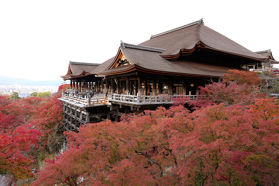 京都の中でも欠かせない名所である清水寺の紅葉情報 Caedekyoto カエデ京都 紅葉と伝統美を引き継ぐバッグ