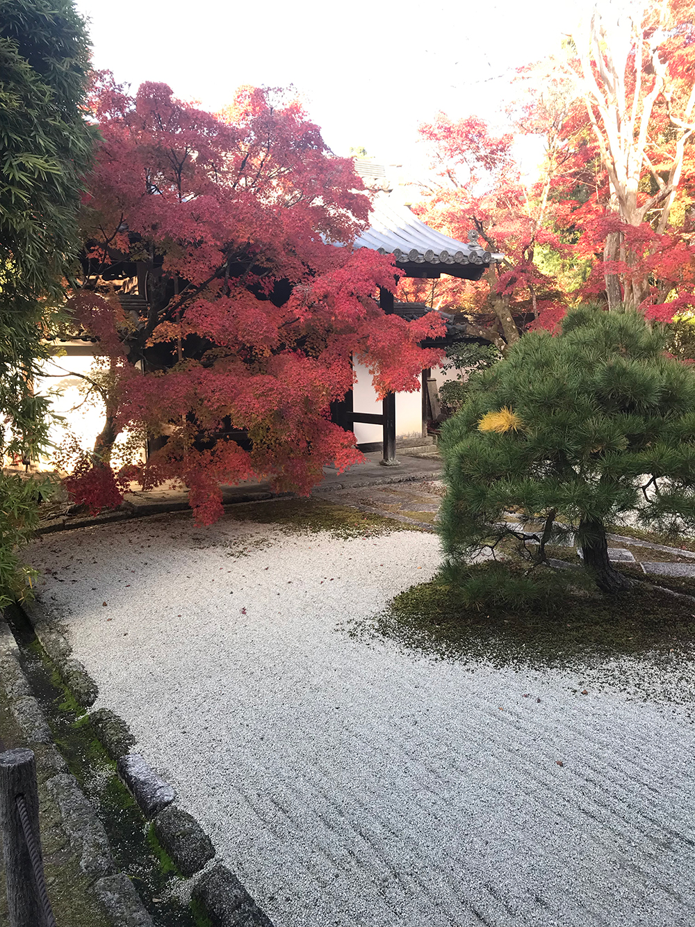 南禅寺　天寿庵