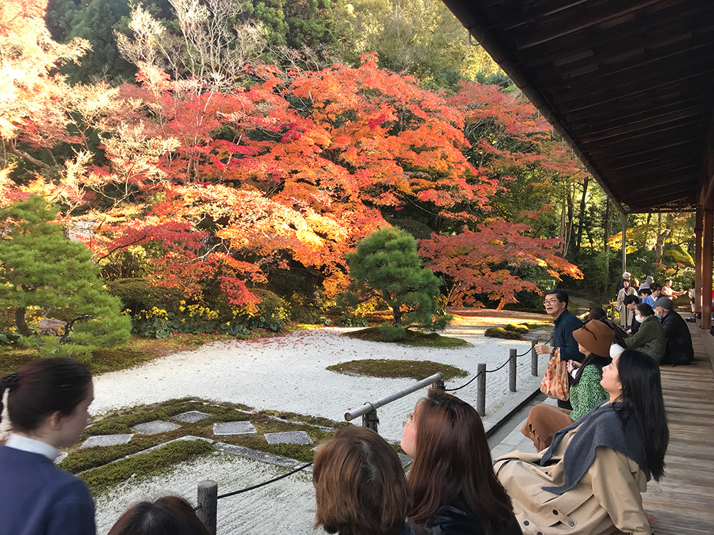 南禅寺の紅葉の見ごろ