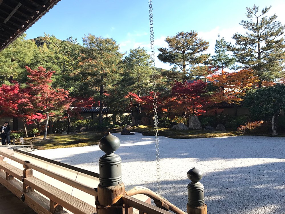 高台寺 方丈庭園の紅葉 25年11月28日撮影分にて、紅葉見頃を迎える