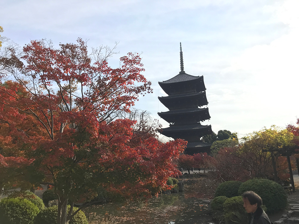 東寺 金堂の正面より