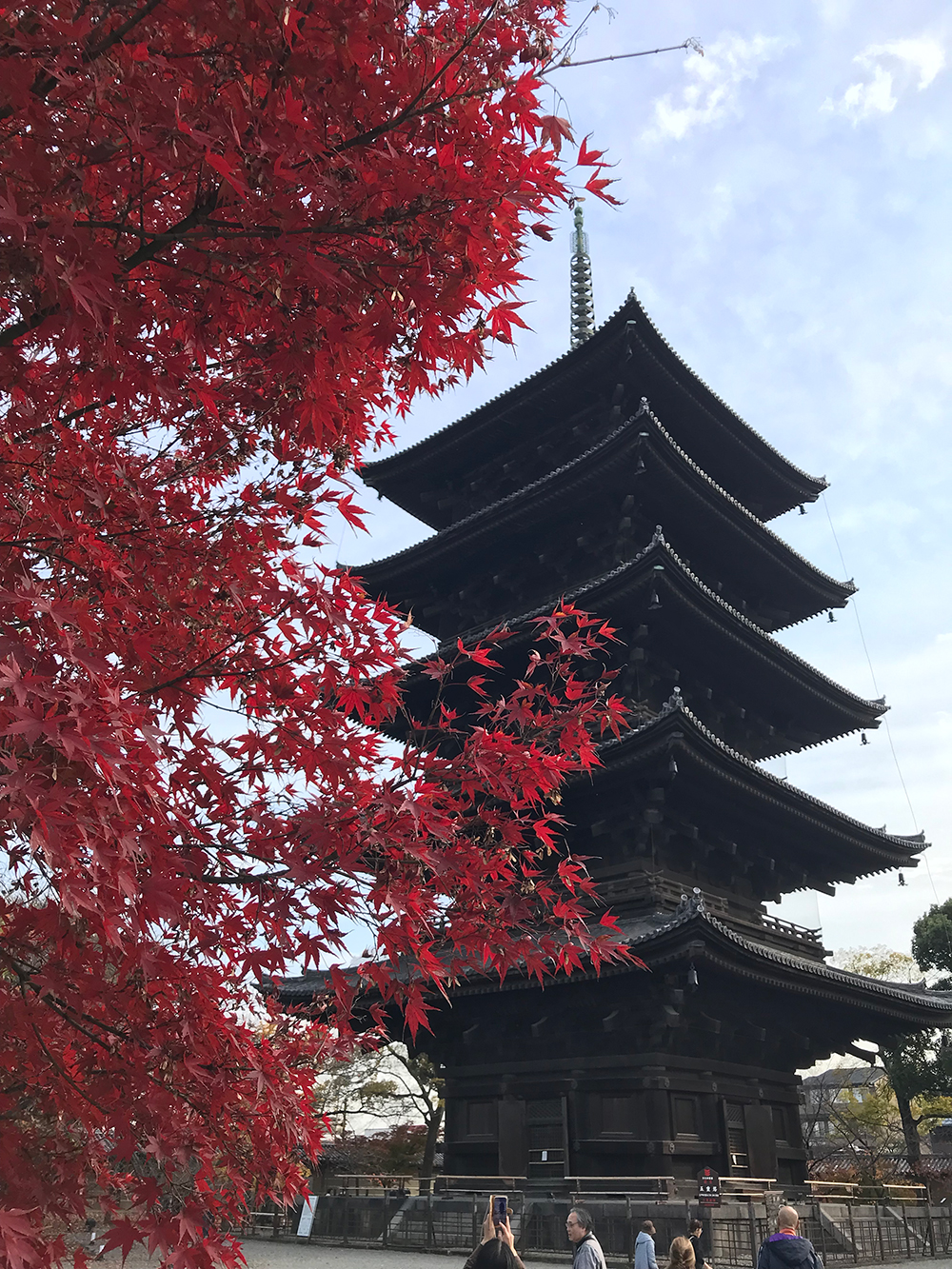 東寺 五重塔と紅葉