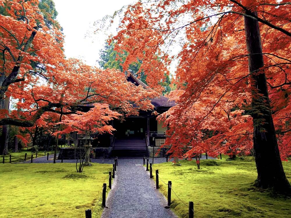 三千院 紅葉 京都
