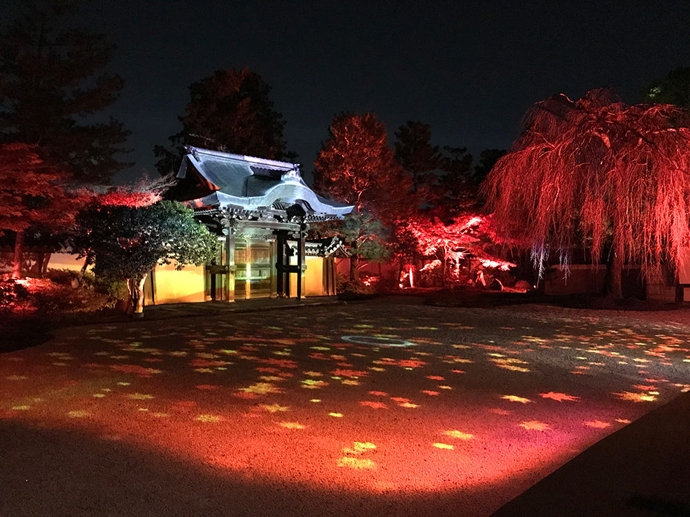 高台寺 京都 紅葉