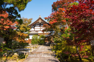 天龍寺　紅葉