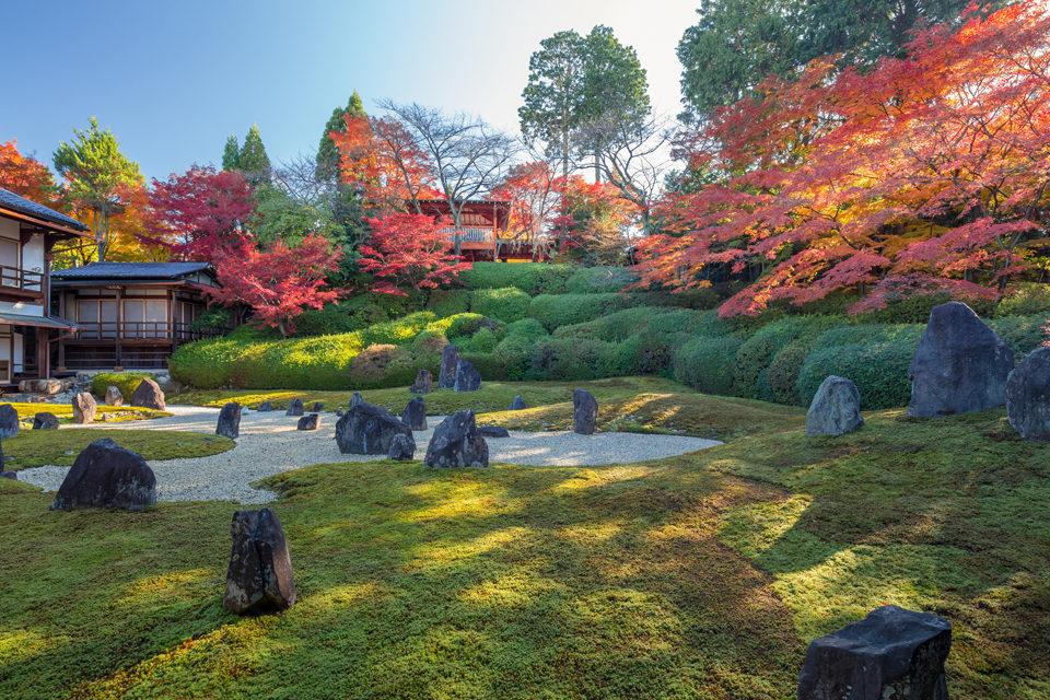 光明院の庭園