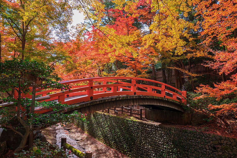 北野天満宮もみじ苑の紅葉