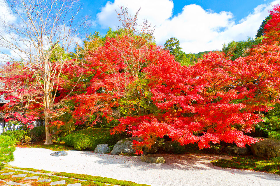 京都の紅葉を見るなら南禅寺へ。南禅寺の紅葉の見頃や見所をご紹介します。