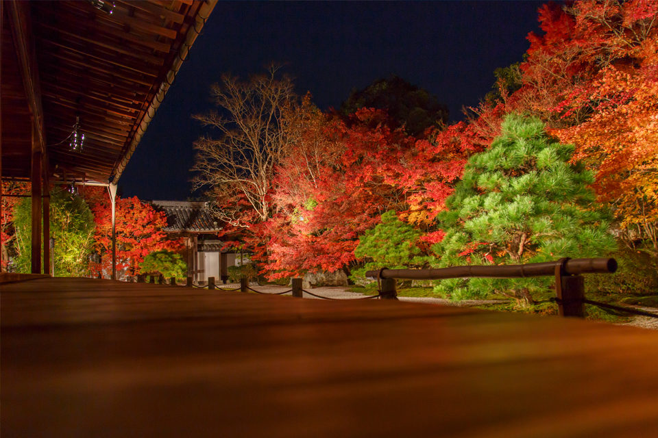 南禅寺天授庵：紅葉ライトアップ