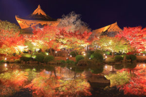 京都每年都會有很多為了一睹紅葉美景來到京都旅遊的客人,那麼這一次我們就對從京都站到東大寺這一段的交通和觀賞地點做一點簡短的介紹吧 !