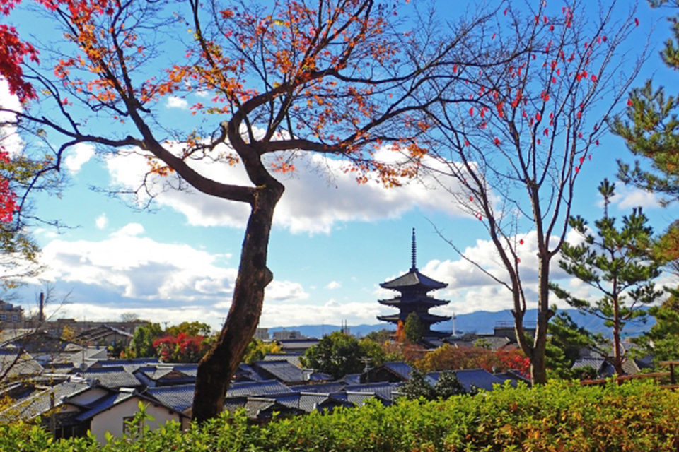 京都の紅葉観賞では せっかくの機会を時間ロスに終わらせないためにも コース設定の工夫が大切です Caedekyoto カエデ京都 紅葉 と伝統美を引き継ぐバッグ