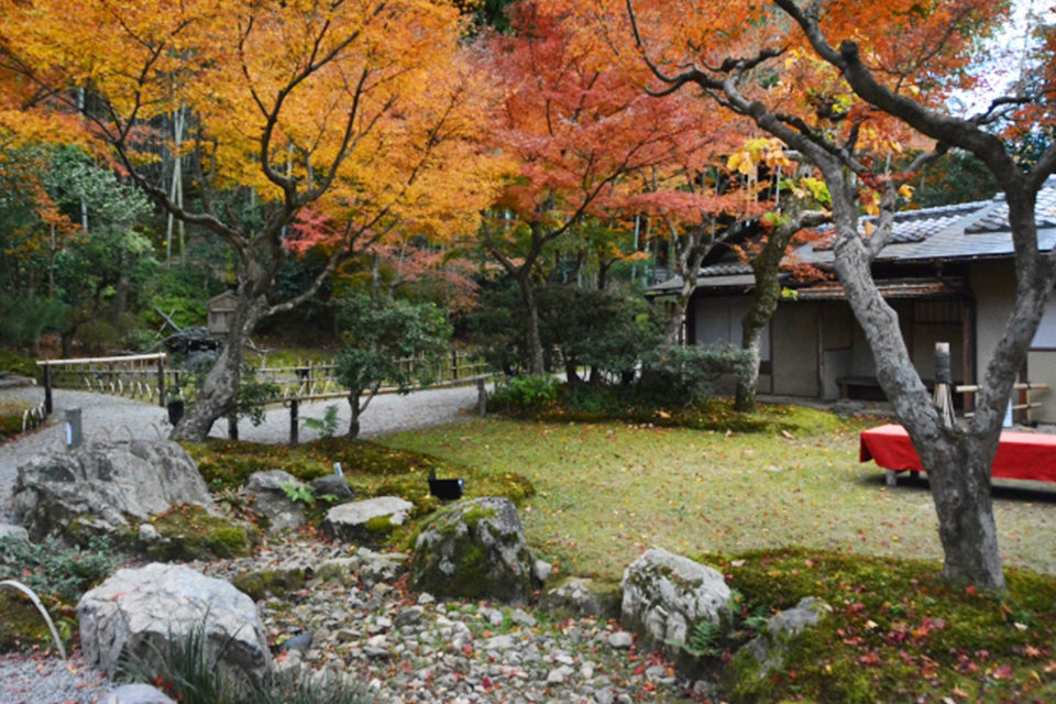 京都でも屈指の名所 昼間の紅葉を楽しむ紅葉スポット 昼間から日没後まで堪能できる紅葉スポットをご紹介 Caedekyoto カエデ京都 紅葉 と伝統美を引き継ぐバッグ