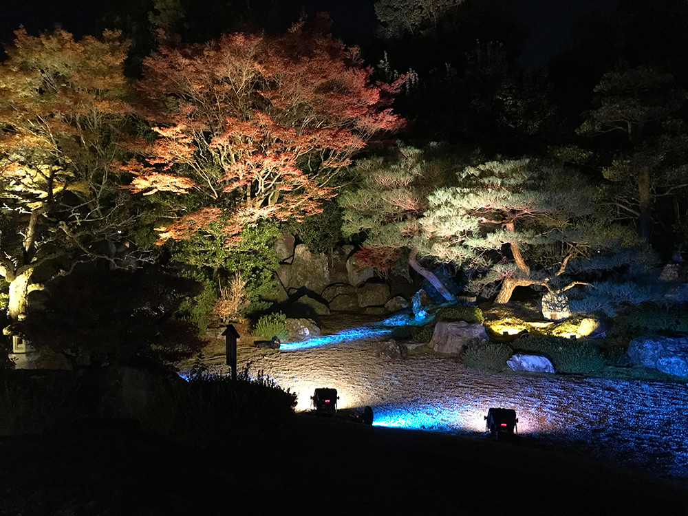 京都の知恩院のライトアップ