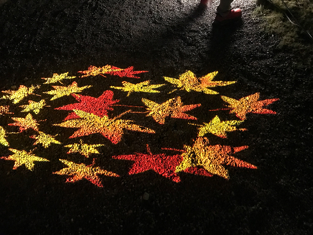 京都の知恩院のライトアップ