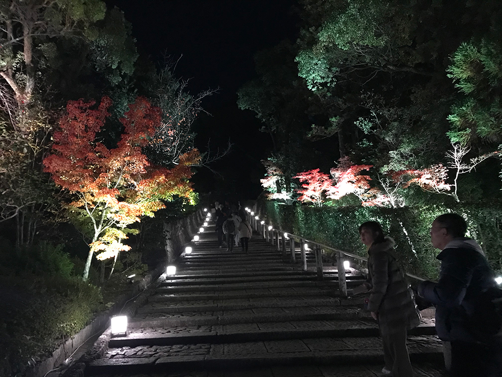 京都の知恩院のライトアップ