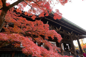 真如堂　紅葉　京都