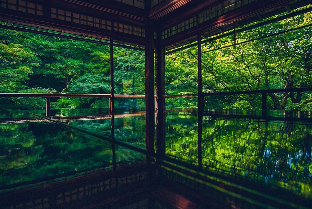 京都　瑠璃光院　青紅葉
