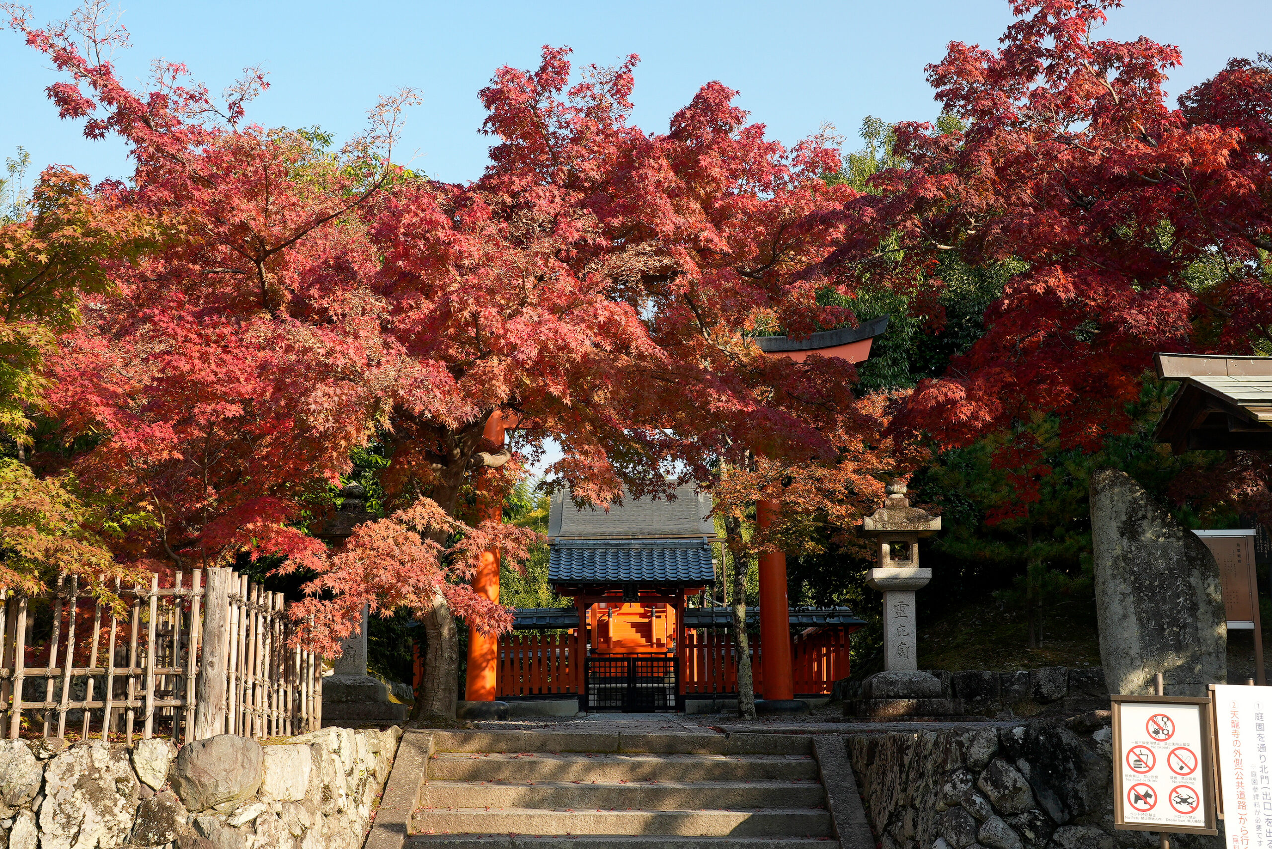 嵐山の紅葉の名所