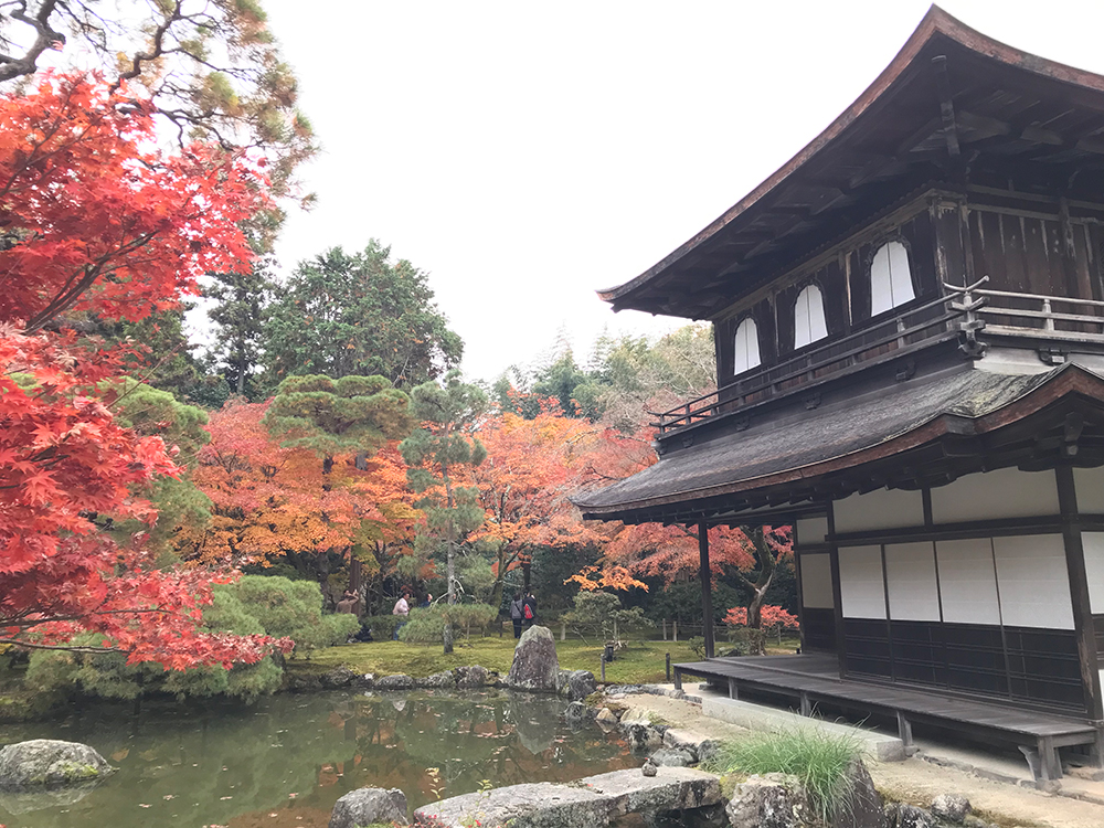 銀閣寺 紅葉 京都