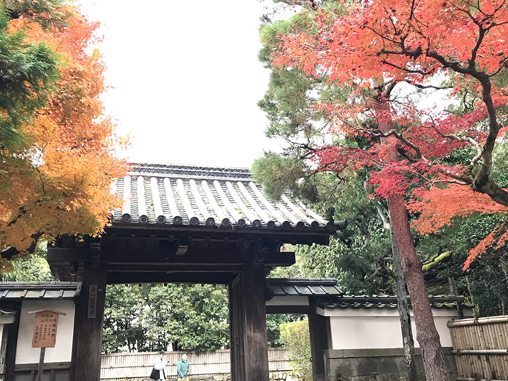 東山慈照寺＝こと銀閣寺の正面玄関、山門前と紅葉