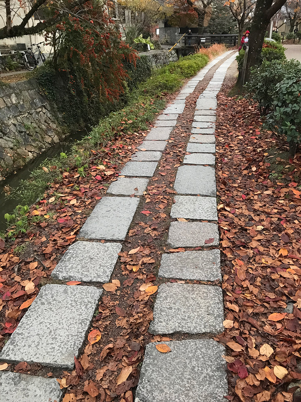 哲学の道の紅葉の見ごろ