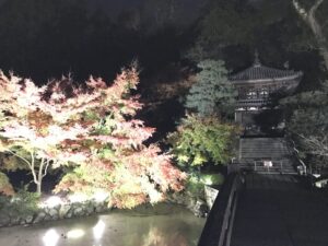 知恩院 紅葉 ライトアップ