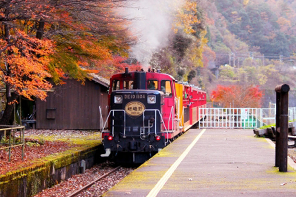 海外でも評判の嵯峨野観光鉄道トロッコ列車。風光明媚な保津峡に沿った路線の見どころと利用上の注意点。