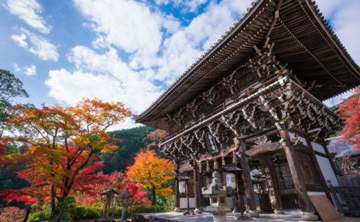 京都善峯寺の山門と紅葉