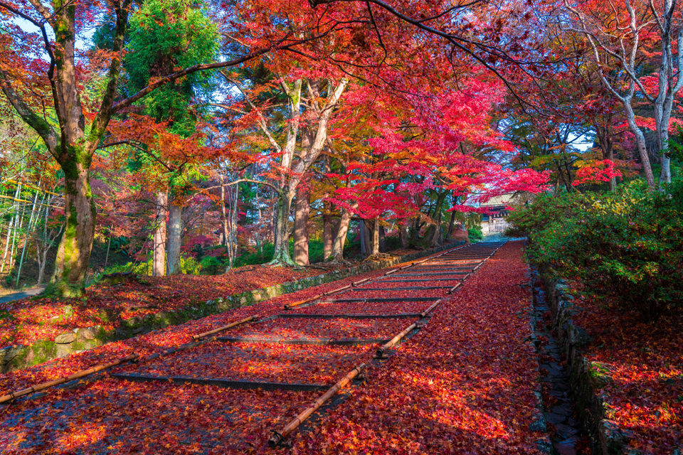 京都毘沙門堂の紅葉