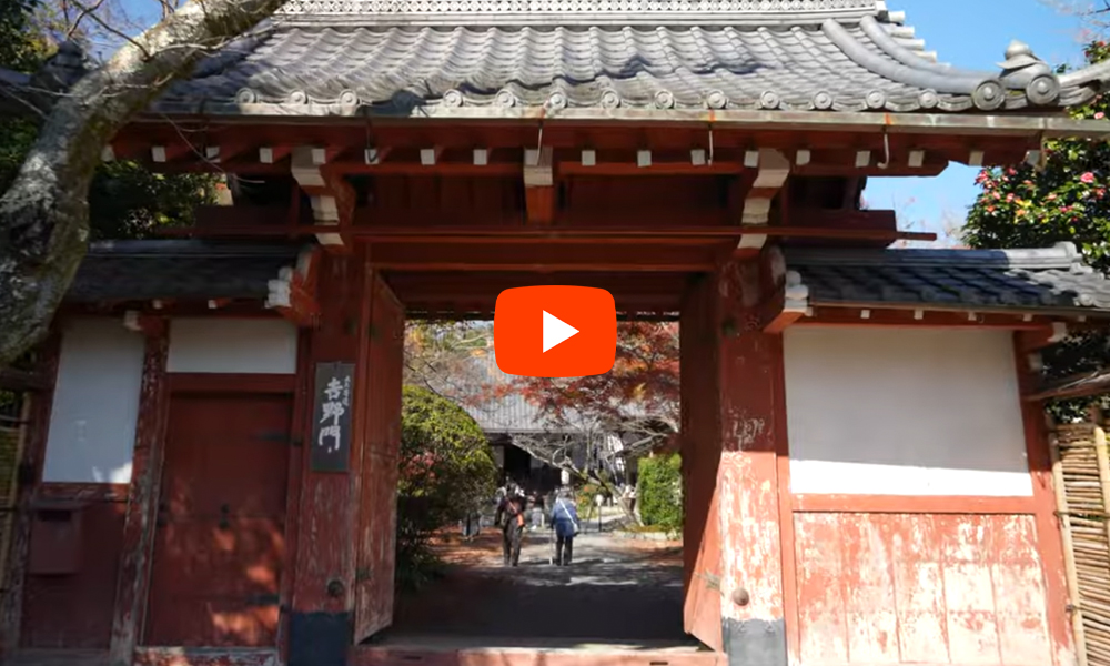 京都 常照寺 紅葉(4K) カエデ・エリシア京都 caede|L’ELISIR KYOTO